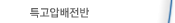 특고압배전반